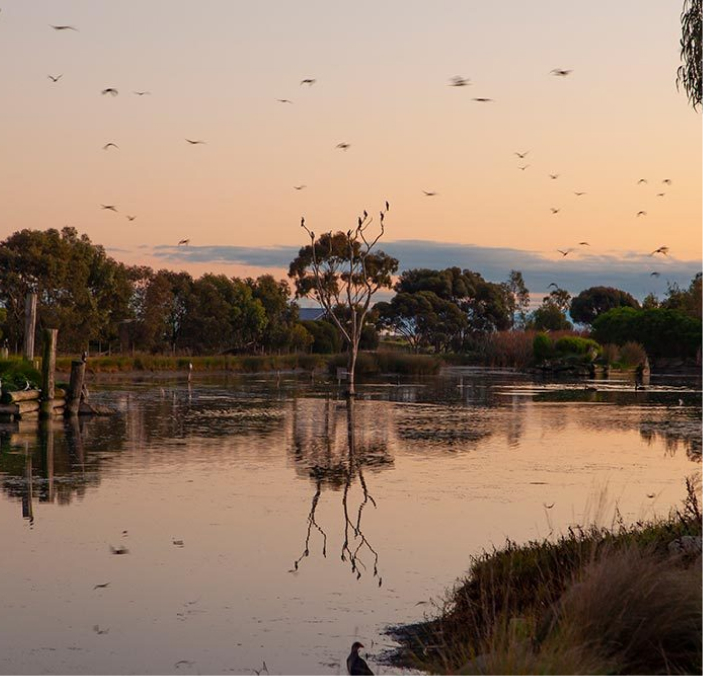 Bellarine Location Shot